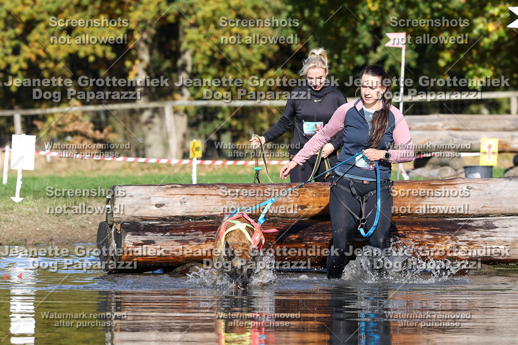 Dog Paparazzi - Strongdog 10-25-8938 | Dog Paparazzi Jeanette Grottendiek Fotografie & Videografie - Realisiert mit Pictrs.com