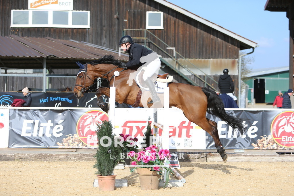 DL2Q8501 | Willkommen bei Brunnmayr - Design & Fotografie – Ihrem Spezialisten für Reitturniere und Pferdeveranstaltungen in Oberösterreich, Salzburg und Bayern! Seit über 17 Jahren sind wir leidenschaftlich dabei.