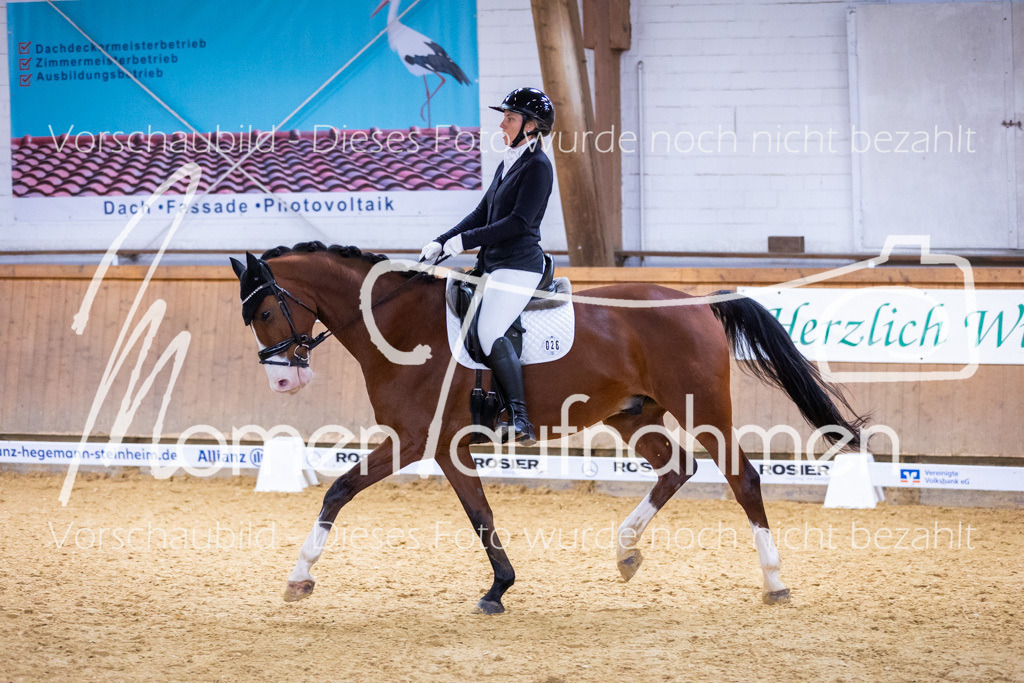 Sth-A-Dre-2St-057 | MomenTaufnahmen Pferdesportfotos