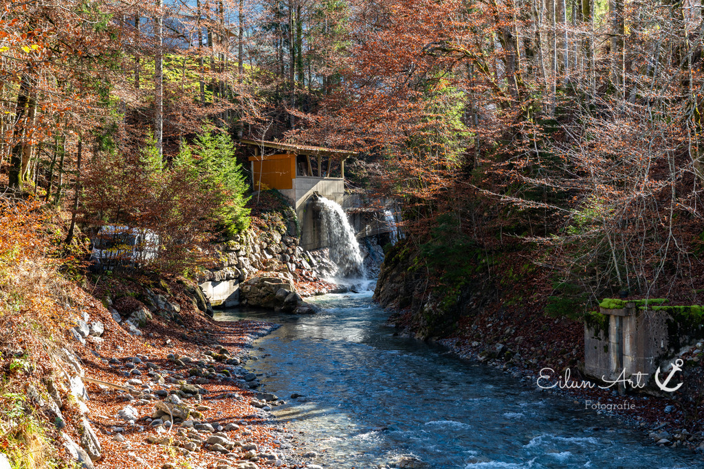 20241031-EAF_5340 | Eilun-Art-Fotografie Levke Martens, ihre Fotografin für Immobilien- und Landschaftsfotografie auf Föhr, Föhrer Motive als Poster, Leinwand, hinter Acrylglas oder stelle dir deinen eigenen Monatskalender zusammen, mit nur einem Klick