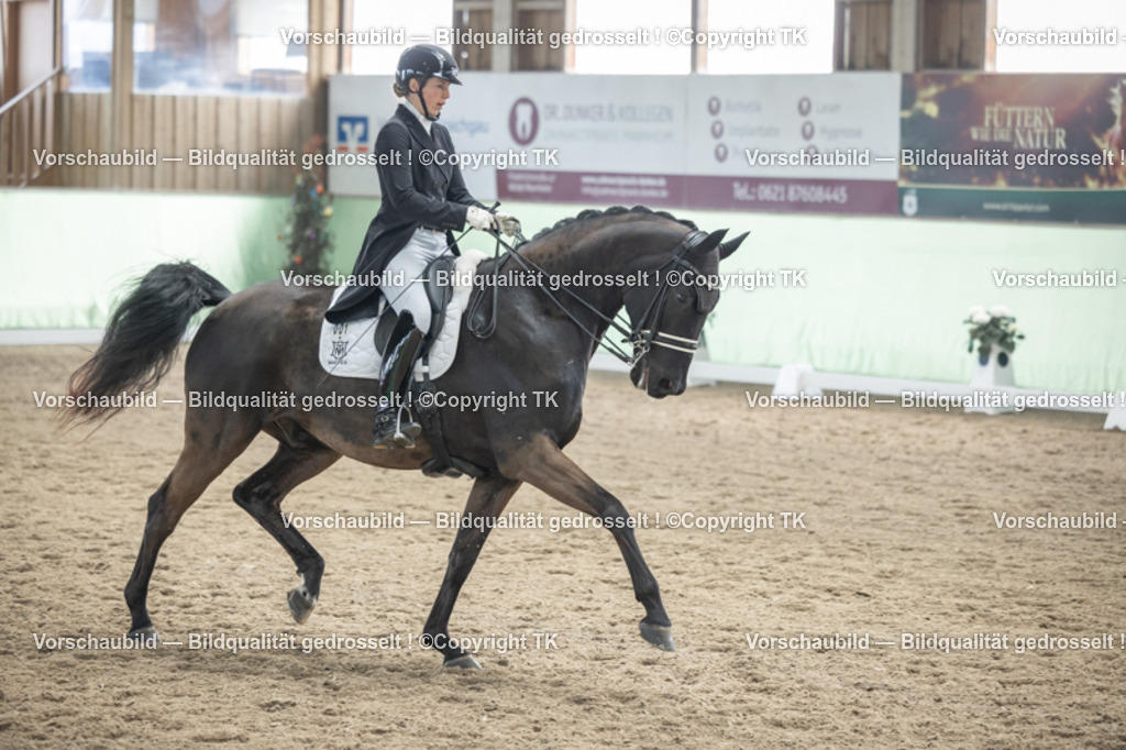 _D5A5363 | Emotionale Pferde- & People-Fotografie rund um Heidelberg, Leimen & Umgebung. Natürliche Fotos von Pferd, Mensch & Familie. Jetzt Termin sichern!