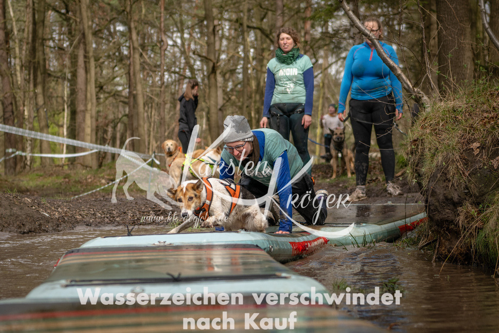 1056_ZZ94958 | kk-dogfotos