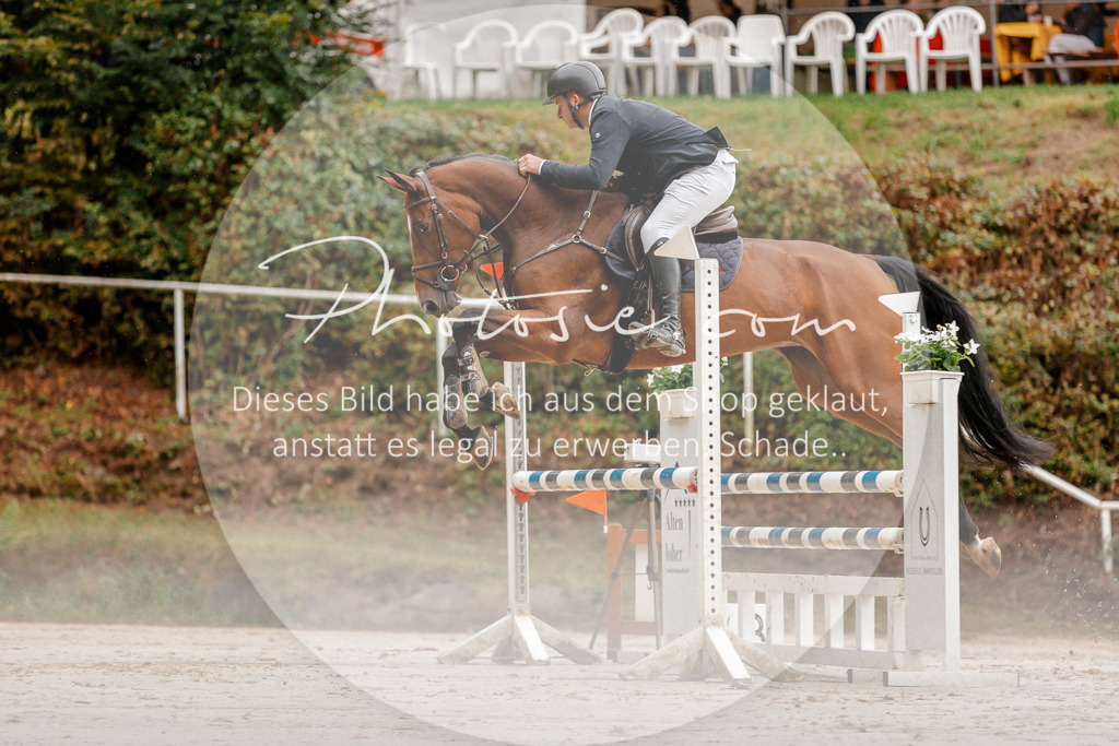 3I6A5742 | Stimmungsvolle Portraits und Reitsportfotografie im Ruhrgebiet und im Münsterland.

Pferdefotografie, Hundefotografie, Tierfotografie, Reportagen, Portraits von Tier und Mensch, Turnierfotografie in Bochum, Recklinghausen, Marl, Haltern am See, Dülmen.. - Realisiert mit Pictrs.com