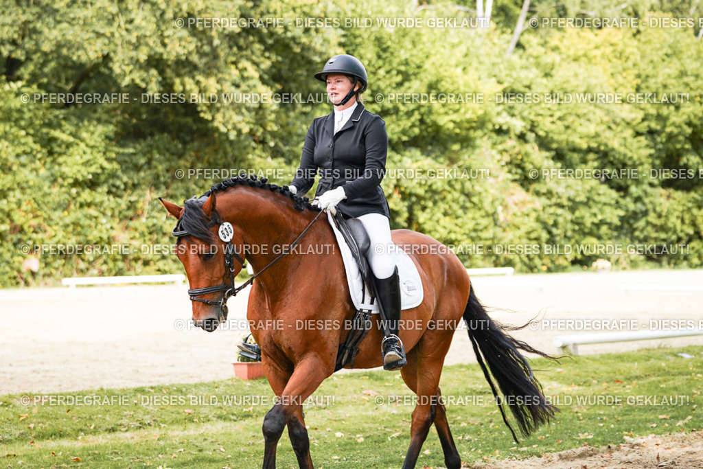 DSC02131 | Pferdegrafie