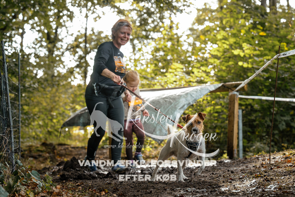 1452DZ6_3687Z6 | kk-dogfotos