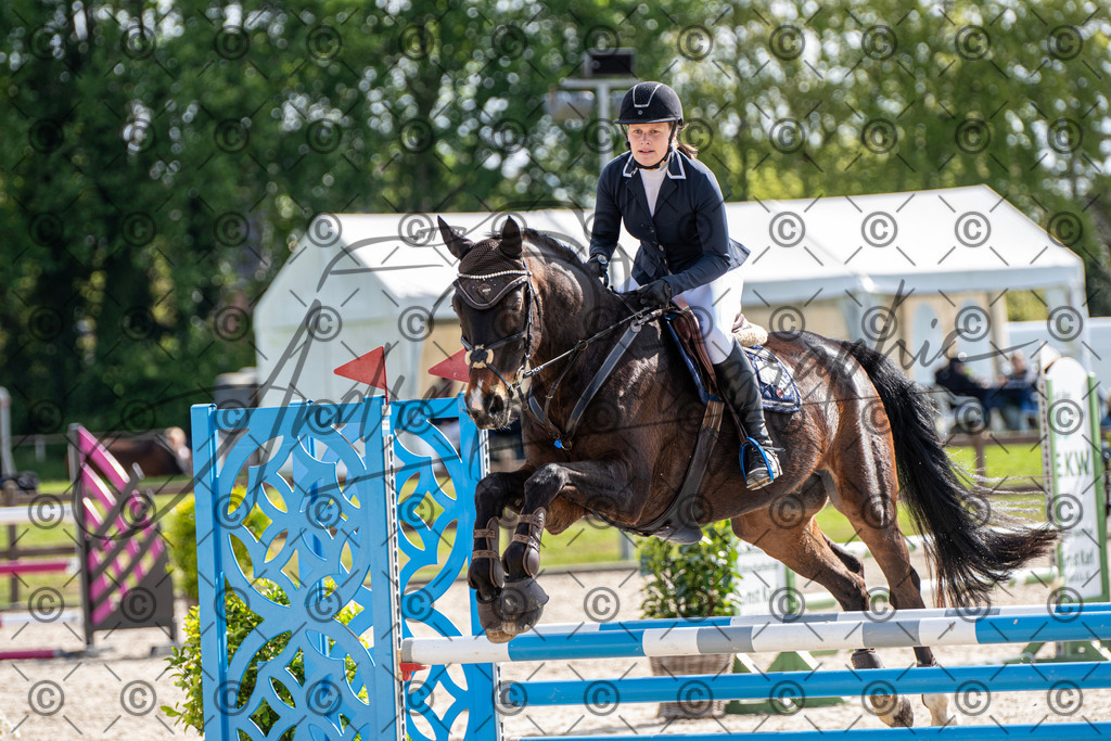 KPT_4711 | andre_photographic