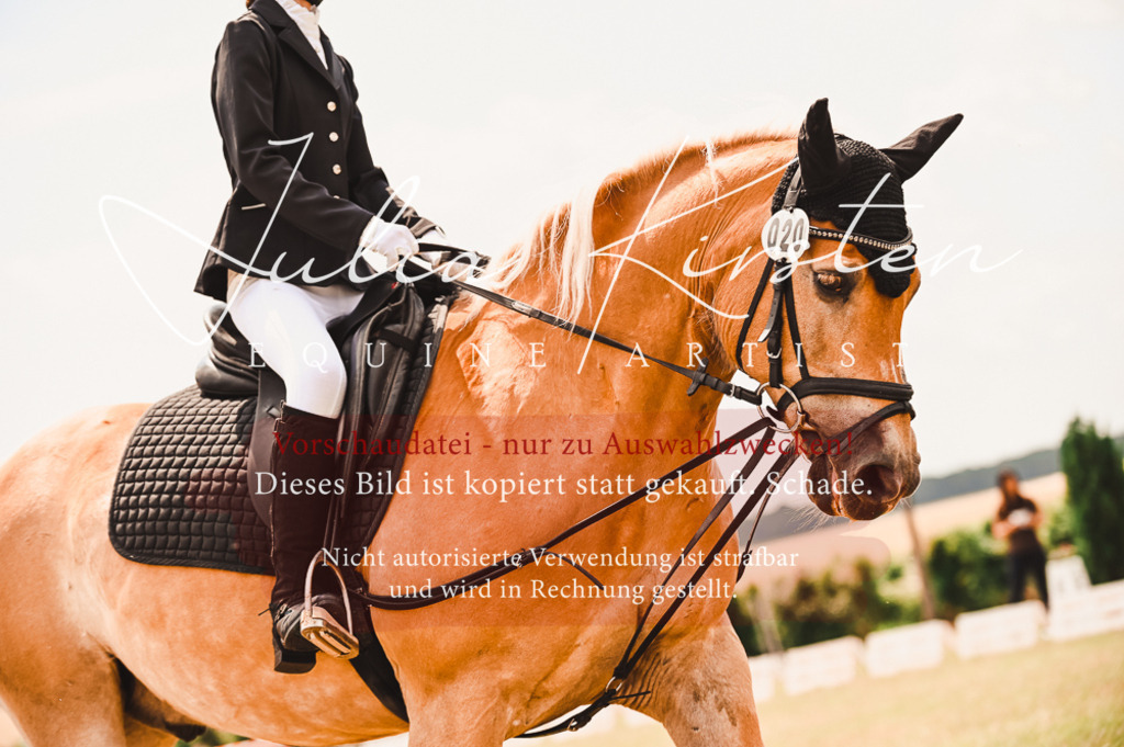 DSC_6220 | Pferde- und Turnierfotografie in Westsachsen. Pferdeportraits, Auftragszeichnungen und intuitive Kunst.