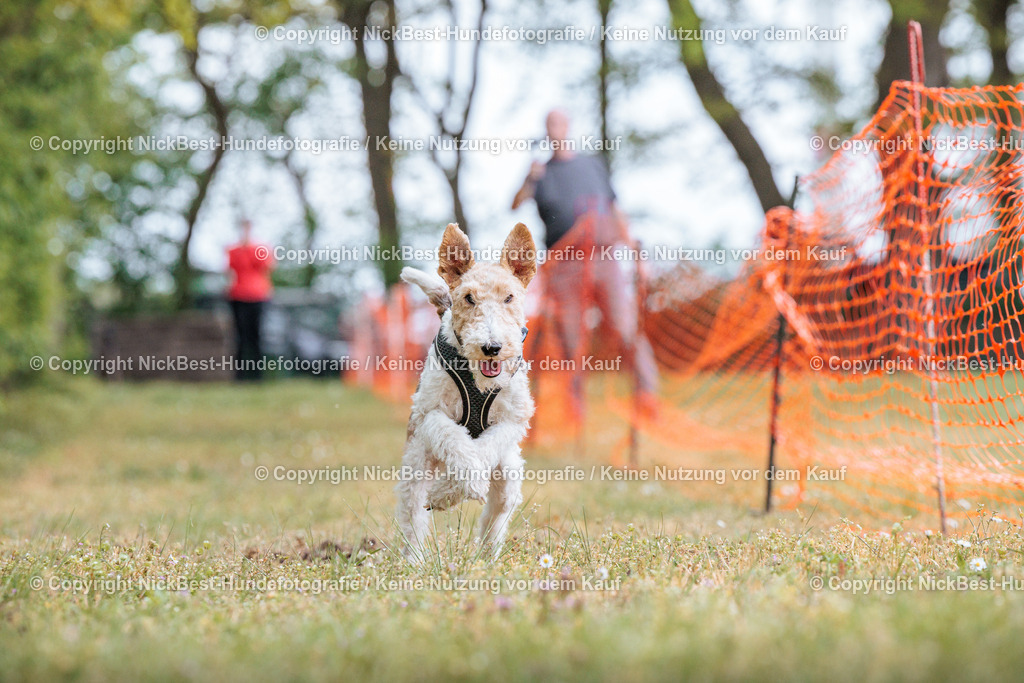 Sage Hunderennen Frühlingsfest-2026-Nickbest-Hundefotografie-0629 | Dein Hund! Dein Moment! Deine Erinnerungen! Hundefotografie in Bremen Blumenthal. Ich fange die besonderen Momente deines Vierbeiners ein – ob Indoor mit Blitzanlage oder in der freien Natur. Sicher dir dein Moment und dein Termin für eure Erinnerungen.