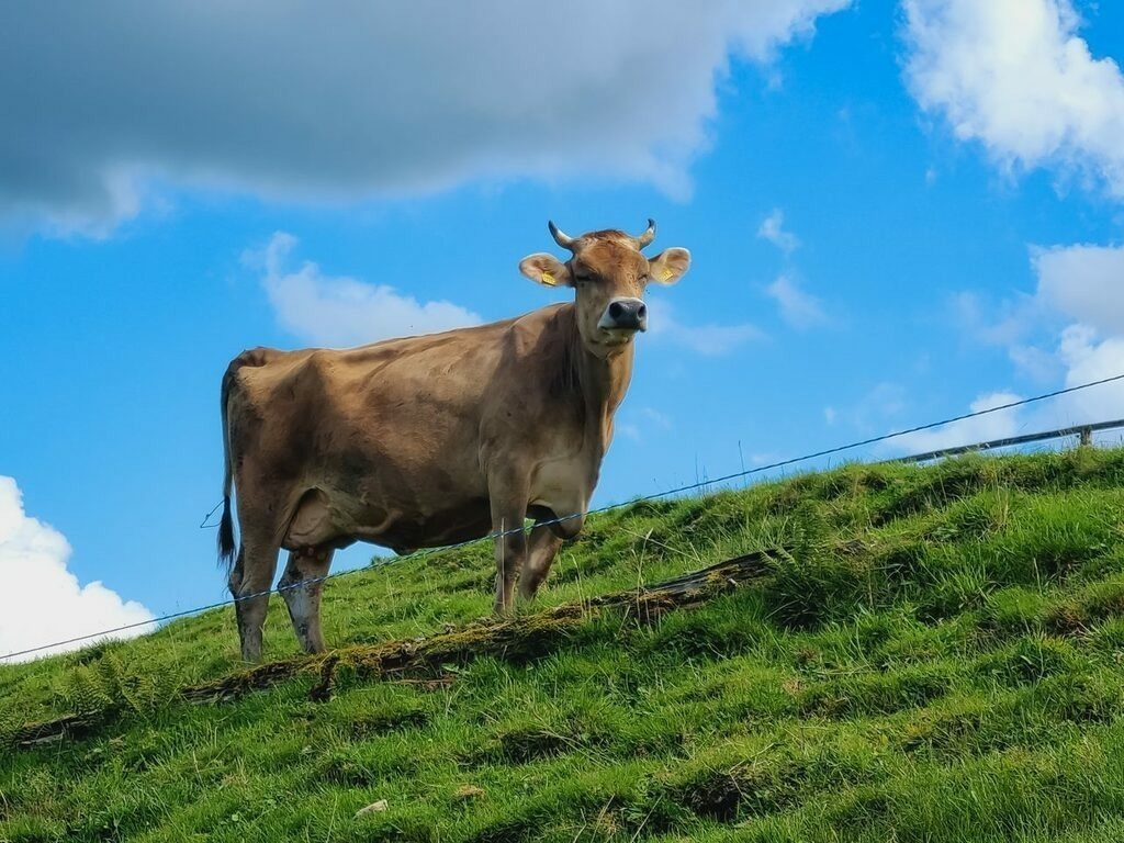 PSX_20220904_224629 | mtkfoto_ - Realisiert mit Pictrs.com