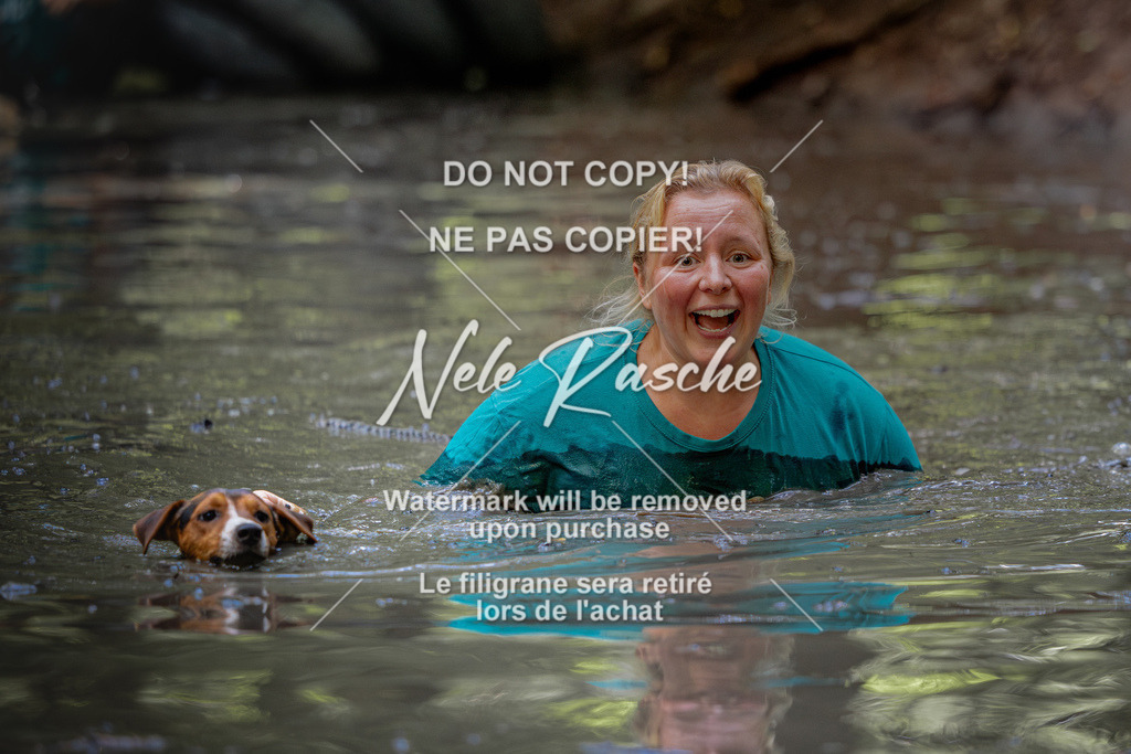 nelerasche_SaWingst1530-1600_309 | nelerasche