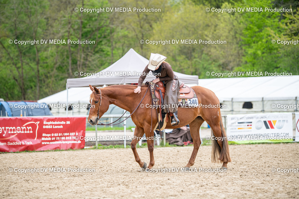 Heiligenwald Tag 1-2007 | dv-media-shop - Realisiert mit Pictrs.com