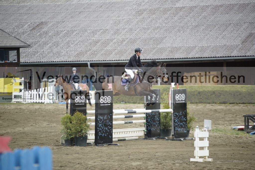 _DSC7375 | equestrian-live-com