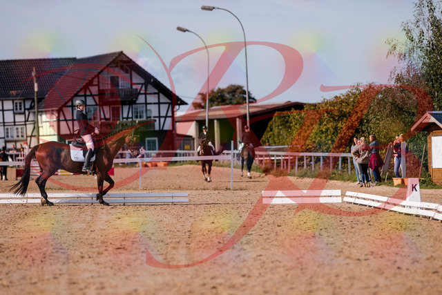 2026_10_03_Siefer-Hof_122827_Z81_26894830 | Professionelle Reitsport-, Turnier- und Eventfotografie von Robert Broda. Galerien mit ausgewählten und bearbeiteten Bildern direkt online ansehen und bestellen.