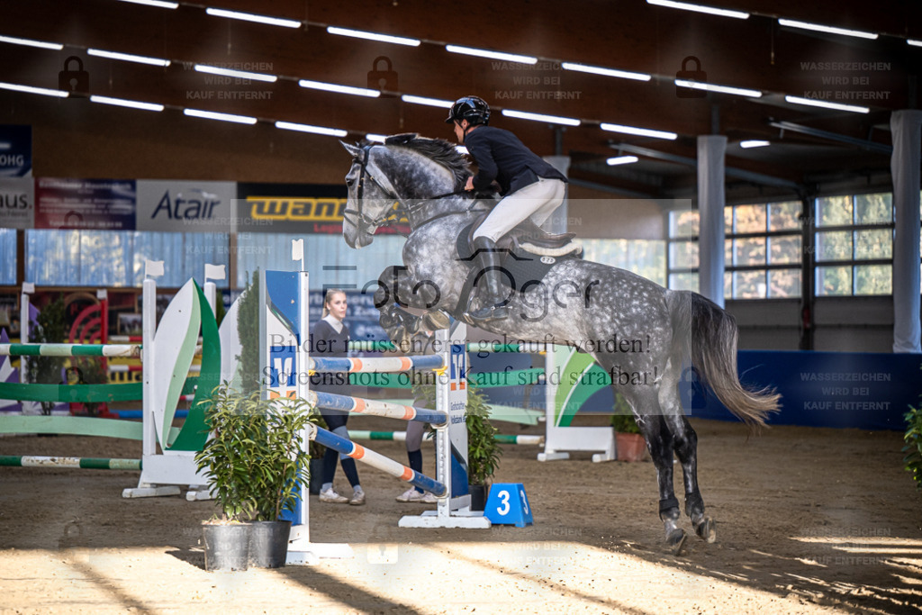 DOS_3136 | Entdecke hochwertige Reitturnierfotos von Foto Oger. Professionell, emotional und authentisch – jetzt Lieblingsmomente im Shop bestellen. - Realisiert mit Pictrs.com