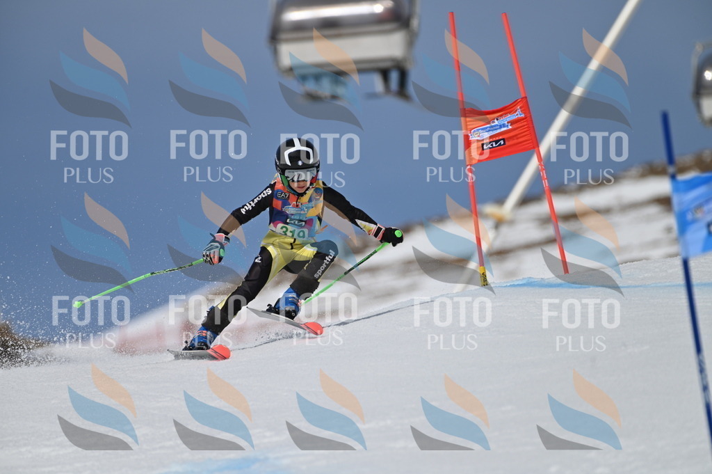 BGV_6306 | holidayphoto