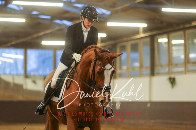 IMG_6987 | Turniersportfotografie; Pferdefotografie; Dressurfotografie