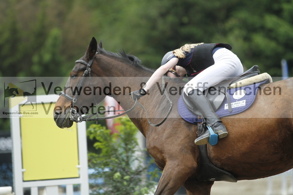 _MG_3811 | equestrian-live-com