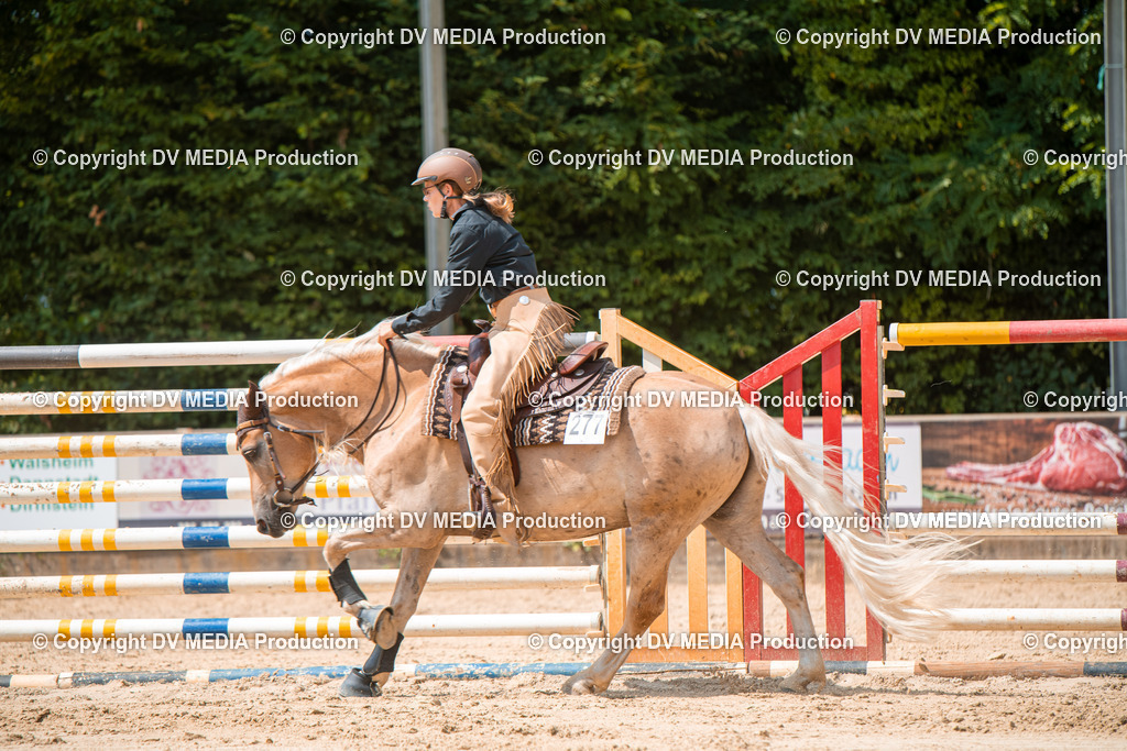 ZS2_8322 | dv-media-shop - Realisiert mit Pictrs.com