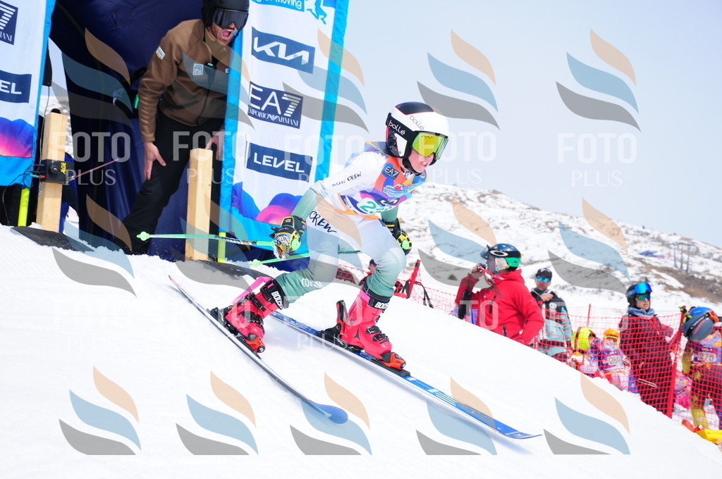 DSC_2165 | holidayphoto