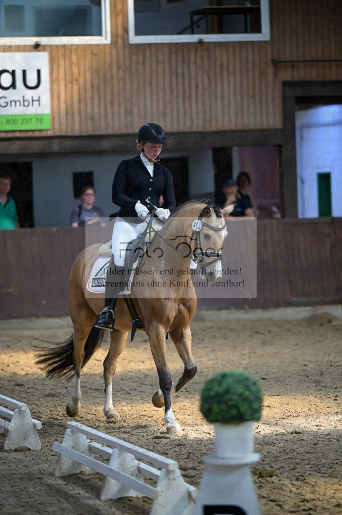 Reitturnier Voxtrup | Entdecke hochwertige Reitturnierfotos von Foto Oger. Professionell, emotional und authentisch – jetzt Lieblingsmomente im Shop bestellen.Deutschlandweite Turnierfotografie. - Realized with Pictrs.com