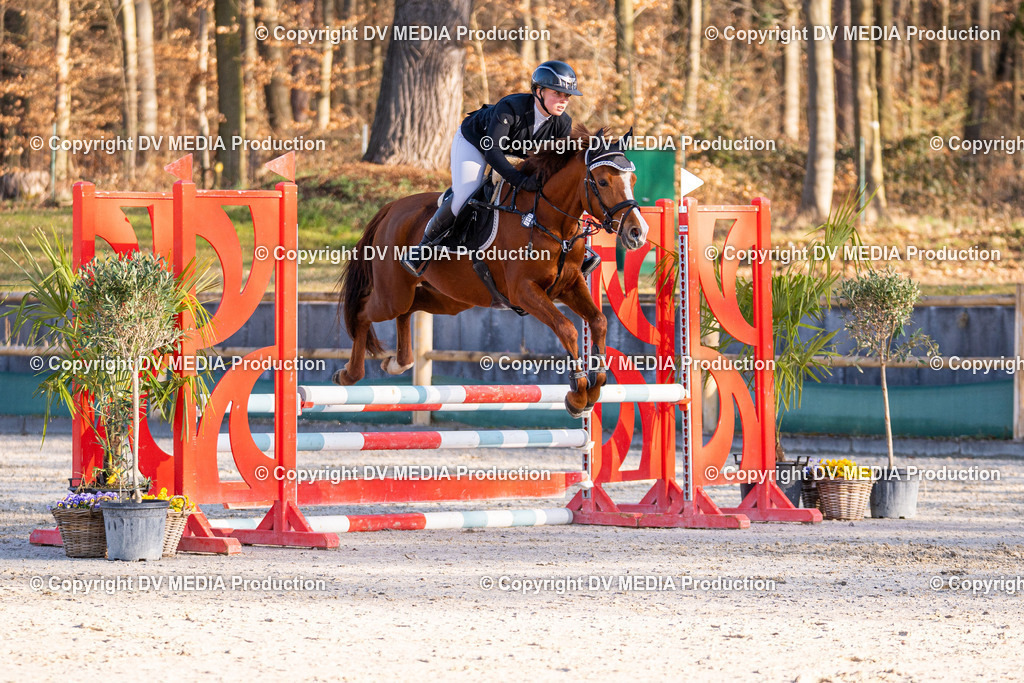 Kranichstein Tag 1-005 | dv-media-shop - Realisiert mit Pictrs.com