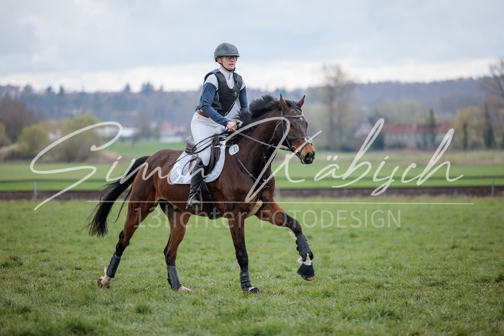 20260329-_3LI5338 | Tierfotografie Pferde, Hunde, Katzen, Haustiere.
Turnierfotografie Reitturniere, Reiten, Springreiten, Dressur in Hanau, dem Main-Kinzig-Kreis und dem Rhein-Main- Gebiet um Frankfurt