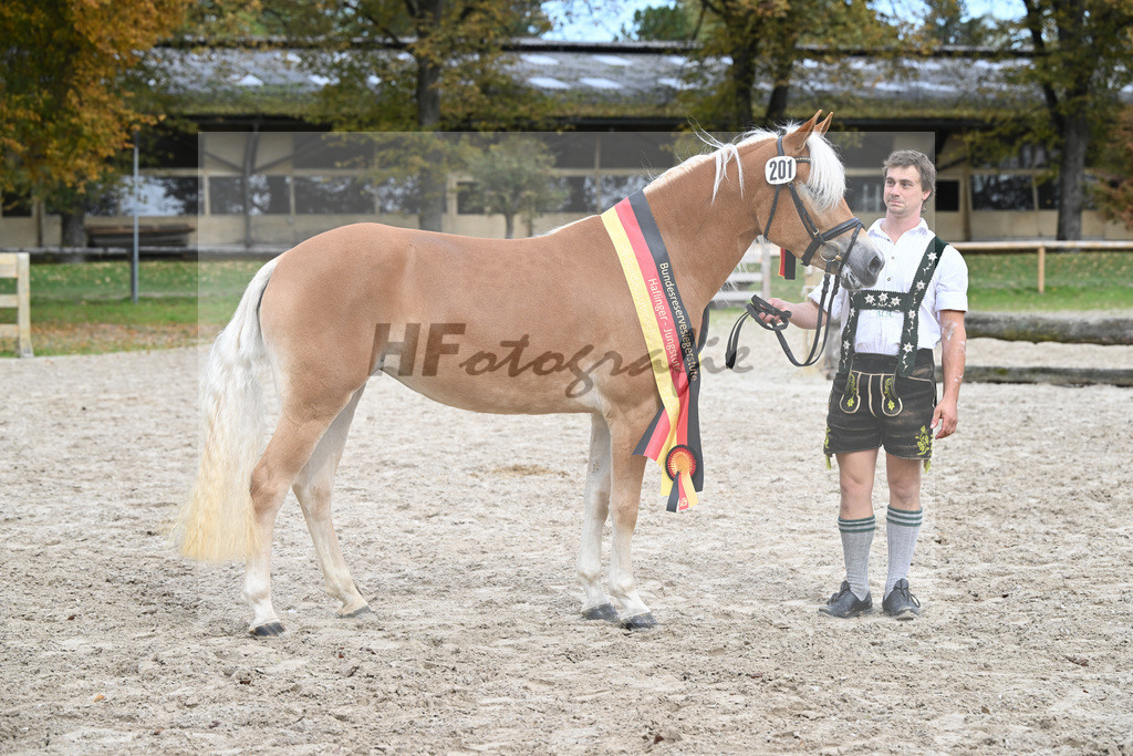 Kat-Nr. 201 Wayana_Aigner_54223484 | hf-fotografie - Realisiert mit Pictrs.com
