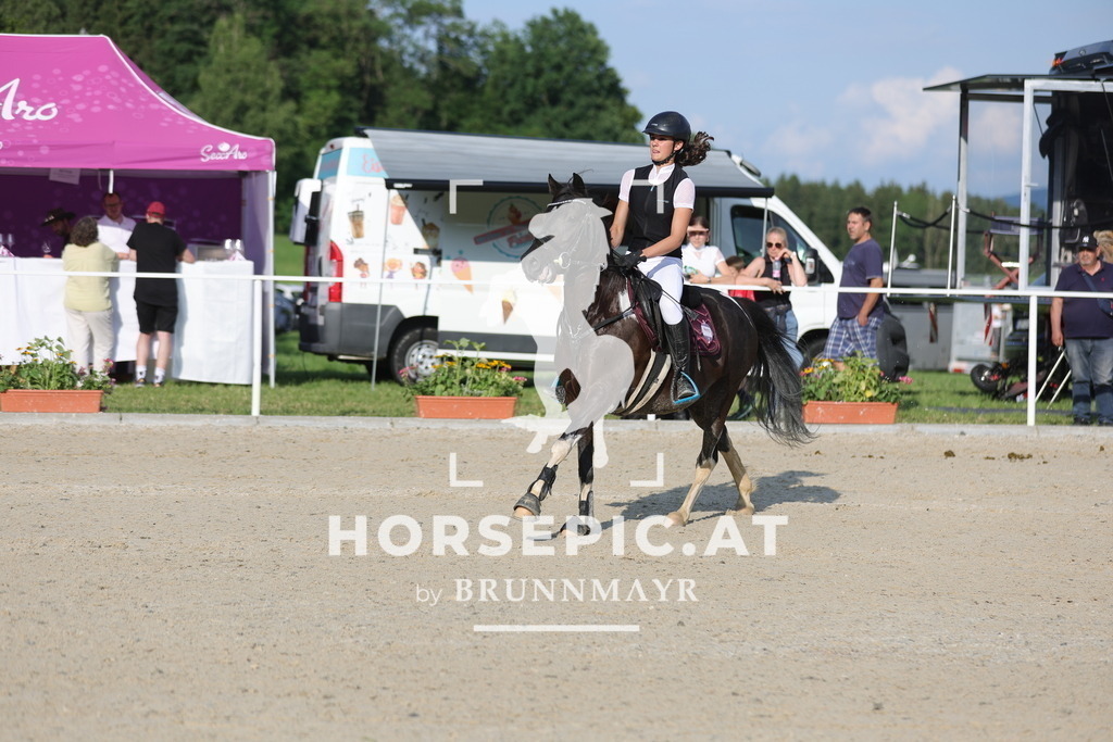 0P6A6545 | Willkommen bei Brunnmayr - Design & Fotografie – Ihrem Spezialisten für Reitturniere und Pferdeveranstaltungen in Oberösterreich, Salzburg und Bayern! Seit über 17 Jahren sind wir leidenschaftlich dabei.