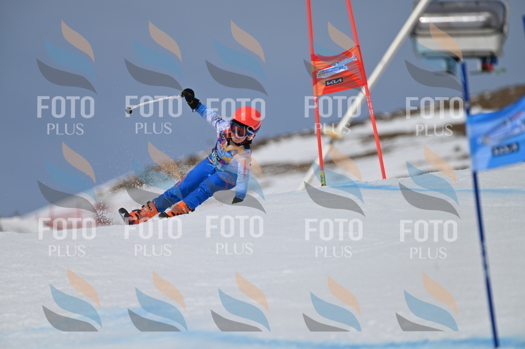 BGV_6075 | holidayphoto