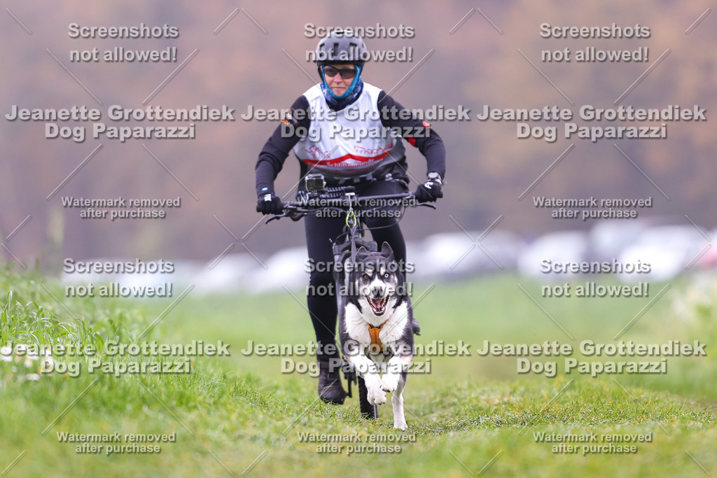 Dog Paparazzi - Visbeck 25 -248 | Dog Paparazzi Jeanette Grottendiek Fotografie & Videografie - Realisiert mit Pictrs.com