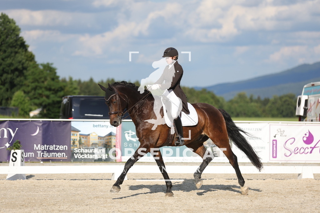 0P6A7530 | Willkommen bei Brunnmayr - Design & Fotografie – Ihrem Spezialisten für Reitturniere und Pferdeveranstaltungen in Oberösterreich, Salzburg und Bayern! Seit über 17 Jahren sind wir leidenschaftlich dabei.