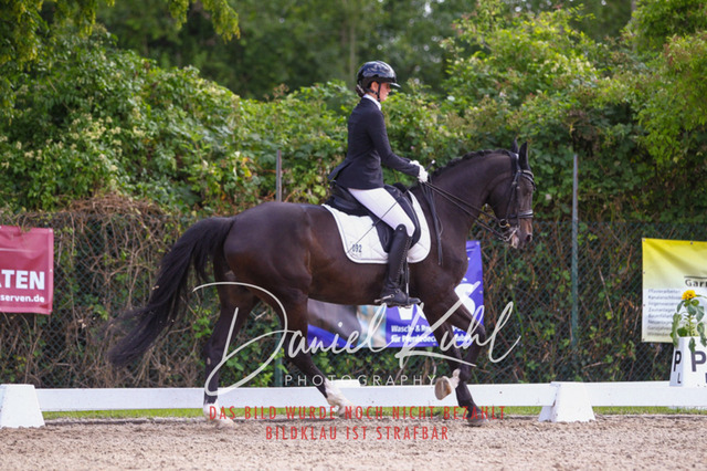 DKP41314 | Turniersportfotografie; Pferdefotografie; Dressurfotografie