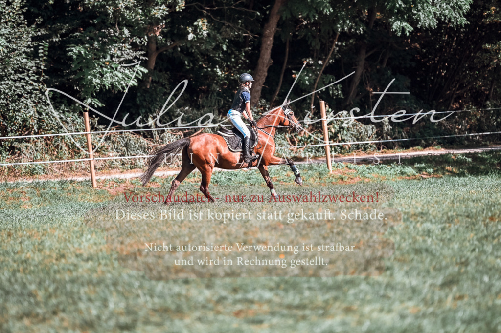 DSC_0962 | Pferde- und Turnierfotografie in Westsachsen. Pferdeportraits, Auftragszeichnungen und intuitive Kunst.