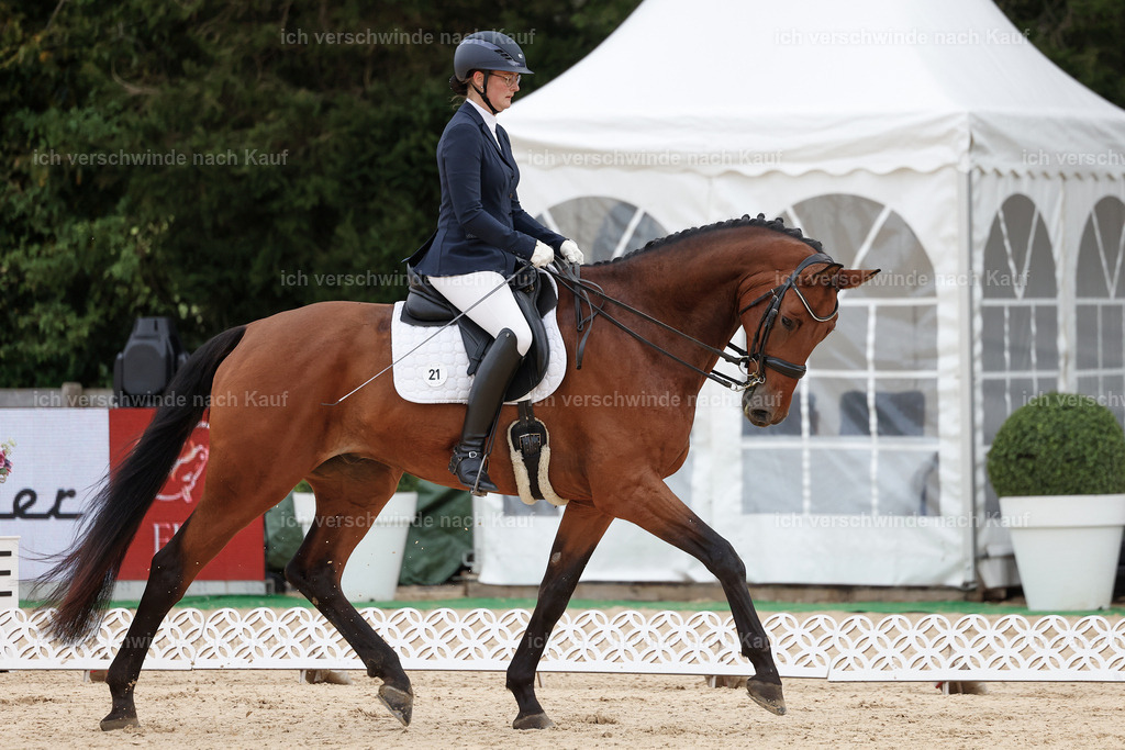 3-021-Dressur M_-StoibPH-2271 | working equitationturnier fotograf videograf stoibphotography marixx film working equitation deutschland reitsport turnierfotografie eventfotografie equestrian events