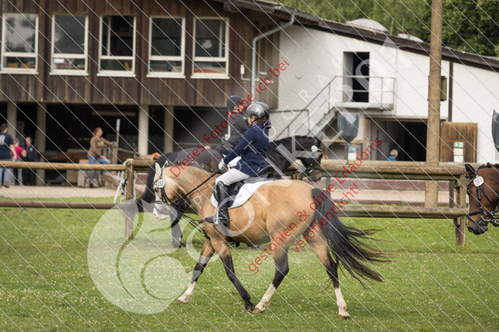 IMG_1599 | Sport-, Event- und Tierfotos in Profiqualität. Einfach auswählen, bestellen und herunterladen. Dein Moment – perfekt festgehalten.