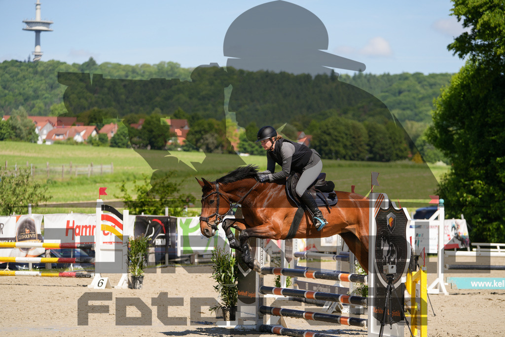 DSC02190 | Julian Held Fotografie - Realisiert mit Pictrs.com