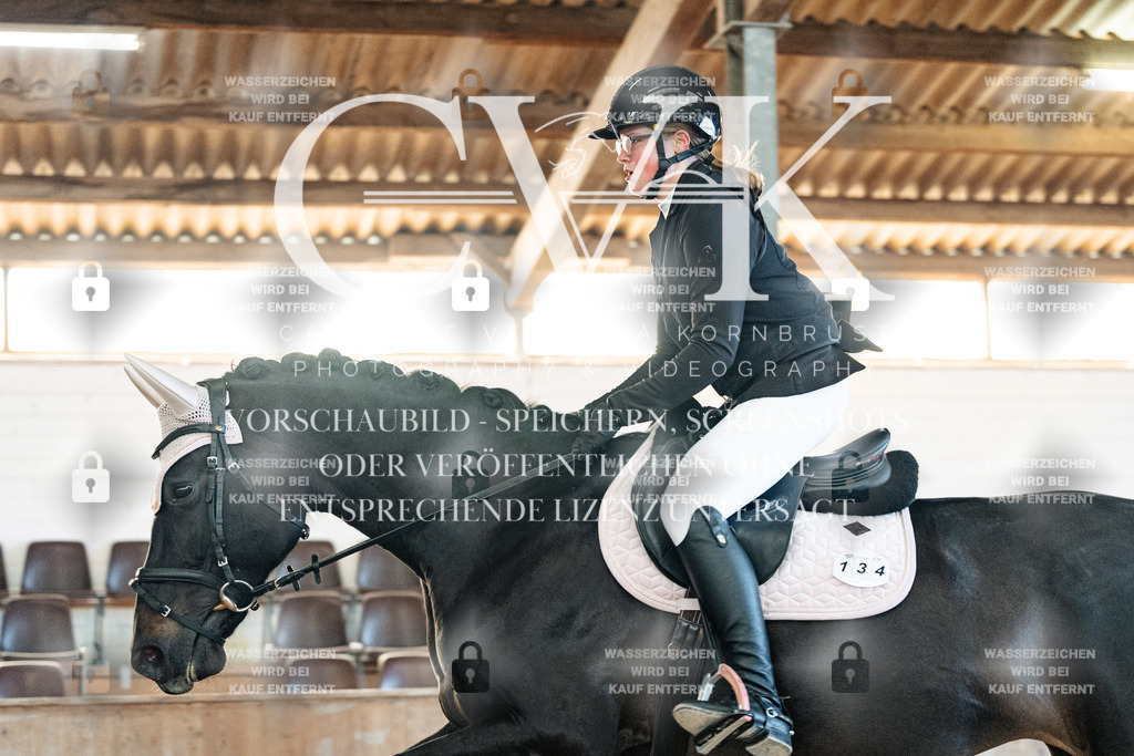 CK903981 | Turnierfotografie Pferdefotografie Trier Rheinland-Pfalz Pferdesport Reitsport Tierfotografie Sportfotografie Pferdevideo Pferdevideografie Equestrianvideography equestrianphotography  - Realized with Pictrs.com