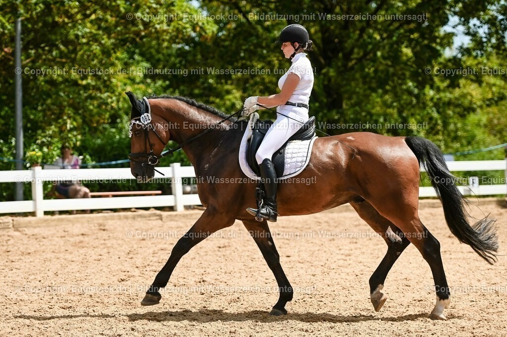 20230715_05_Dressurprüfung Kl.A++_0427 | equistock