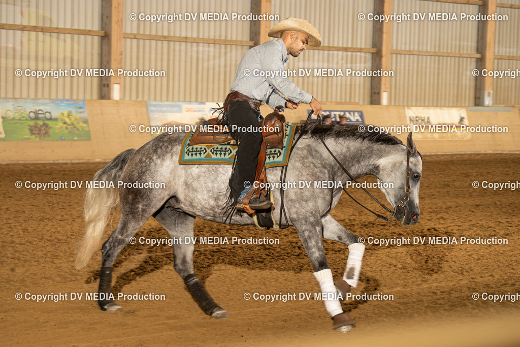 LAU00218 | dv-media-shop - Realisiert mit Pictrs.com