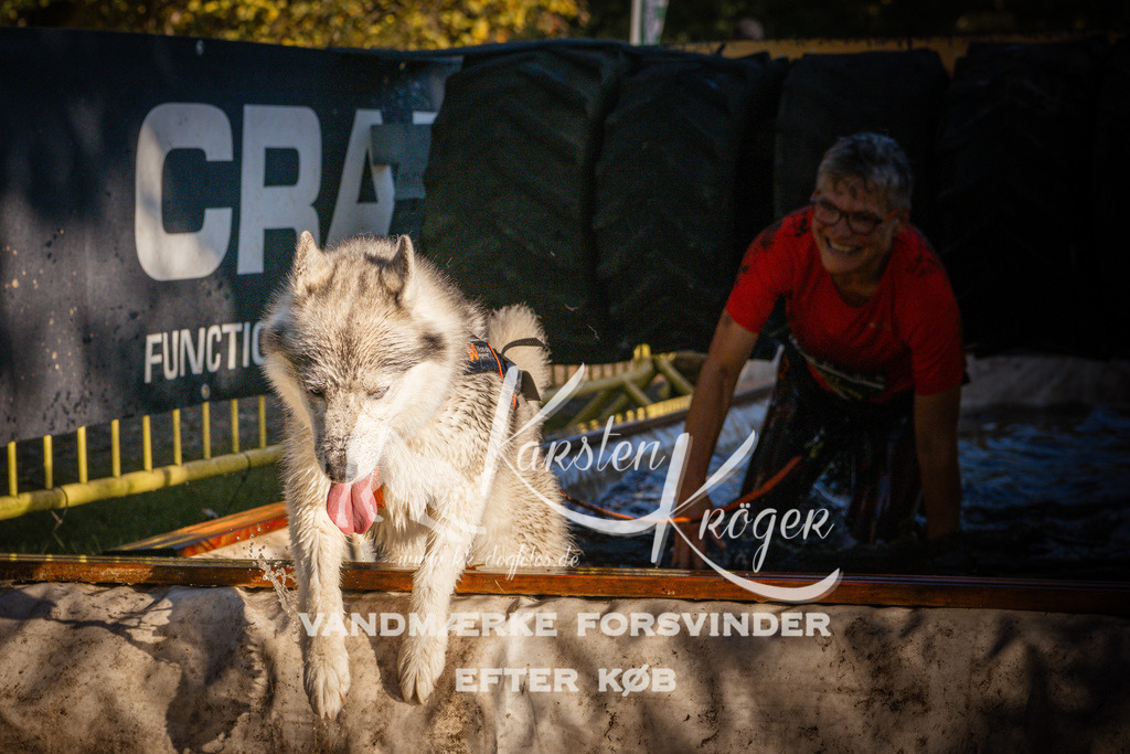 0935_ZZ91427 | kk-dogfotos