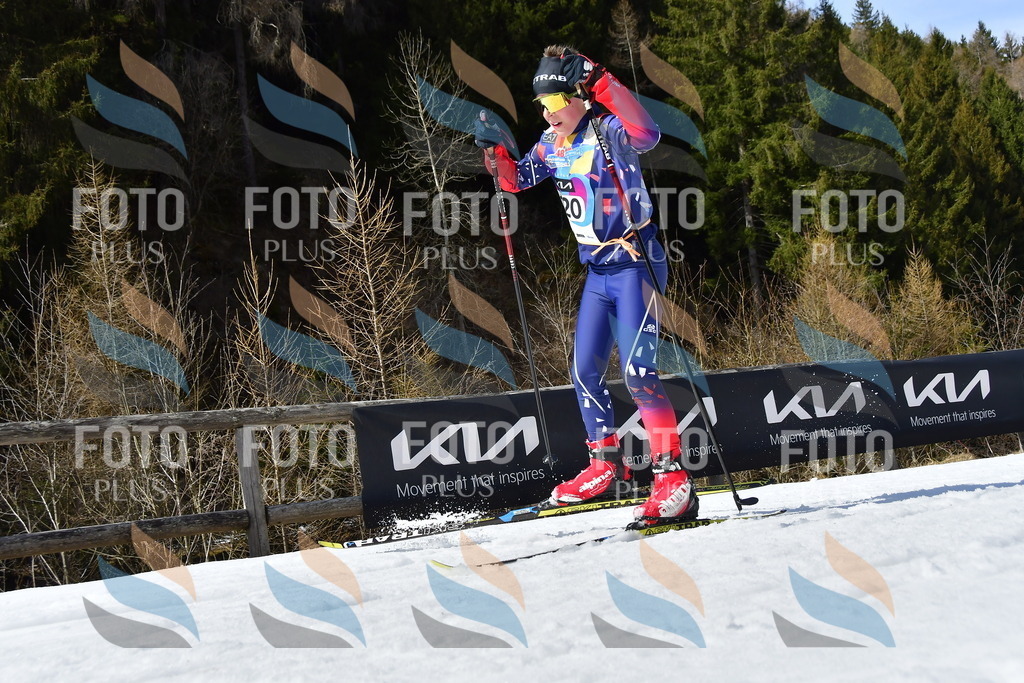 _DSC0081 | holidayphoto