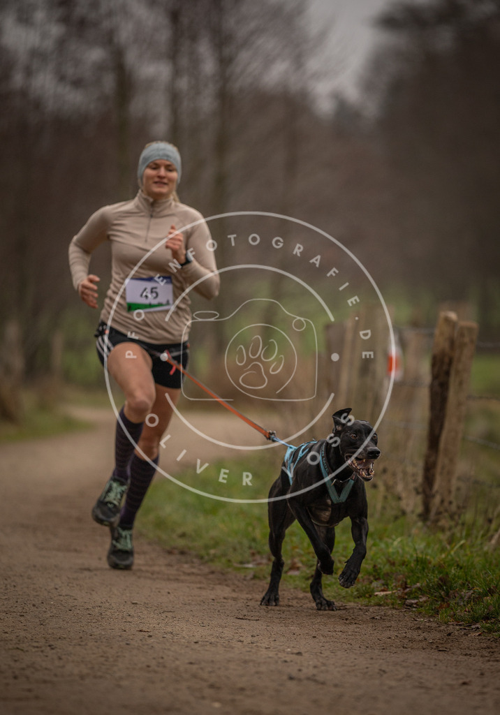 Pfotenfotografie_DV3A2732 | Hundefotografie, Tierfotograf, Pfotenfotografie, Fotoshooting Hund, Hunde Portrait, Hundesport, Hundeportraits, Heideshooting, Hunde, Sportfotograf, Hundefotograf, Turnierhundsport, THS,  - Realisiert mit Pictrs.com