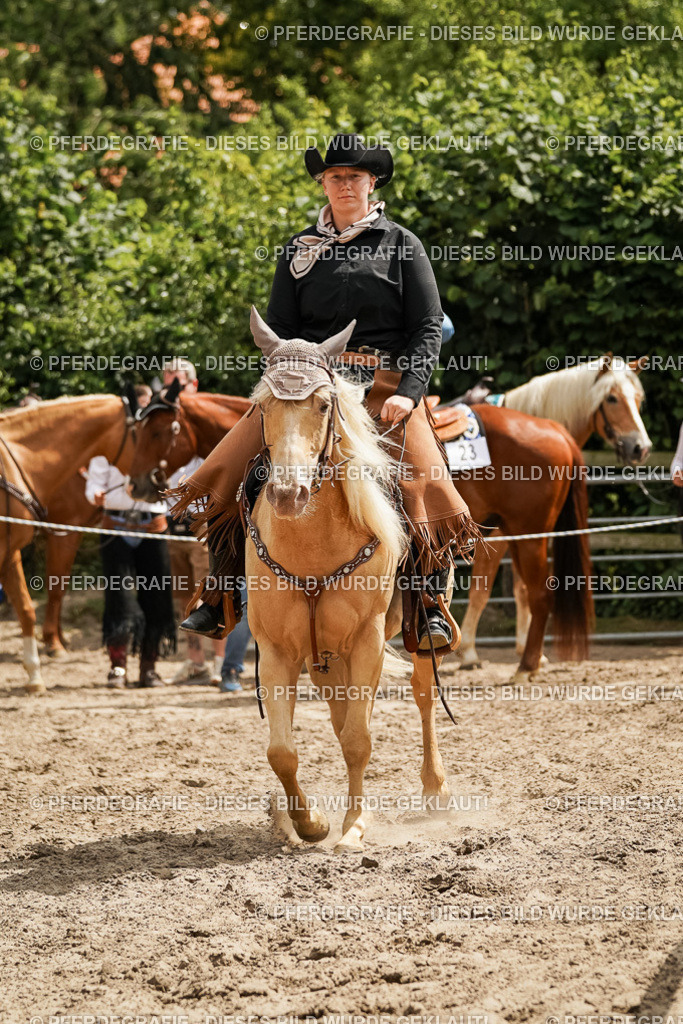 DSC00391 | Pferdegrafie