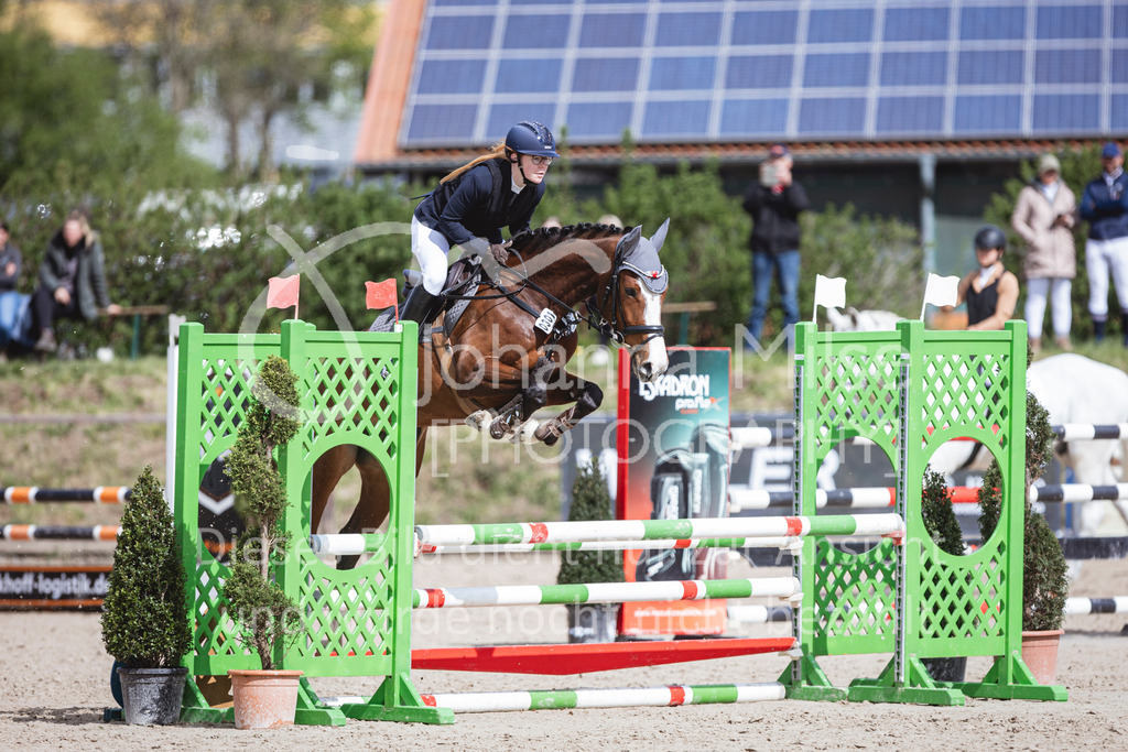 250419_Frühlingsfest_A-Stil1-487 | Deine schönsten Turniermomente als professionelle Fotos! Entdecke hochwertige Pferdesport-Fotografie im Online-Shop. Jetzt Fotos finden & bestellen!