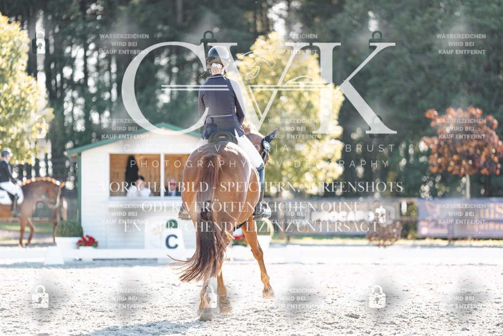 CK906848 | Turnierfotografie Pferdefotografie Trier Rheinland-Pfalz Pferdesport Reitsport Tierfotografie Sportfotografie Pferdevideo Pferdevideografie Equestrianvideography equestrianphotography  - Realisiert mit Pictrs.com