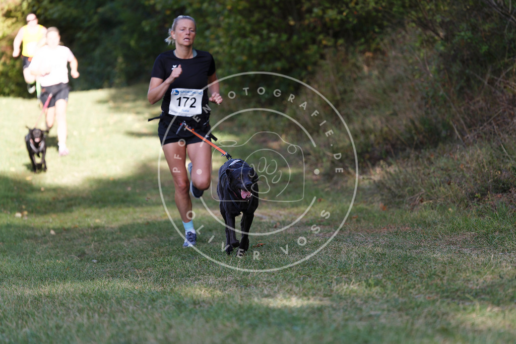 0L8A5471 | Hundefotografie, Tierfotograf, Pfotenfotografie, Fotoshooting Hund, Hunde Portrait, Hundesport, Hundeportraits, Heideshooting, Hunde, Sportfotograf, Hundefotograf, Turnierhundsport, THS,  - Realisiert mit Pictrs.com
