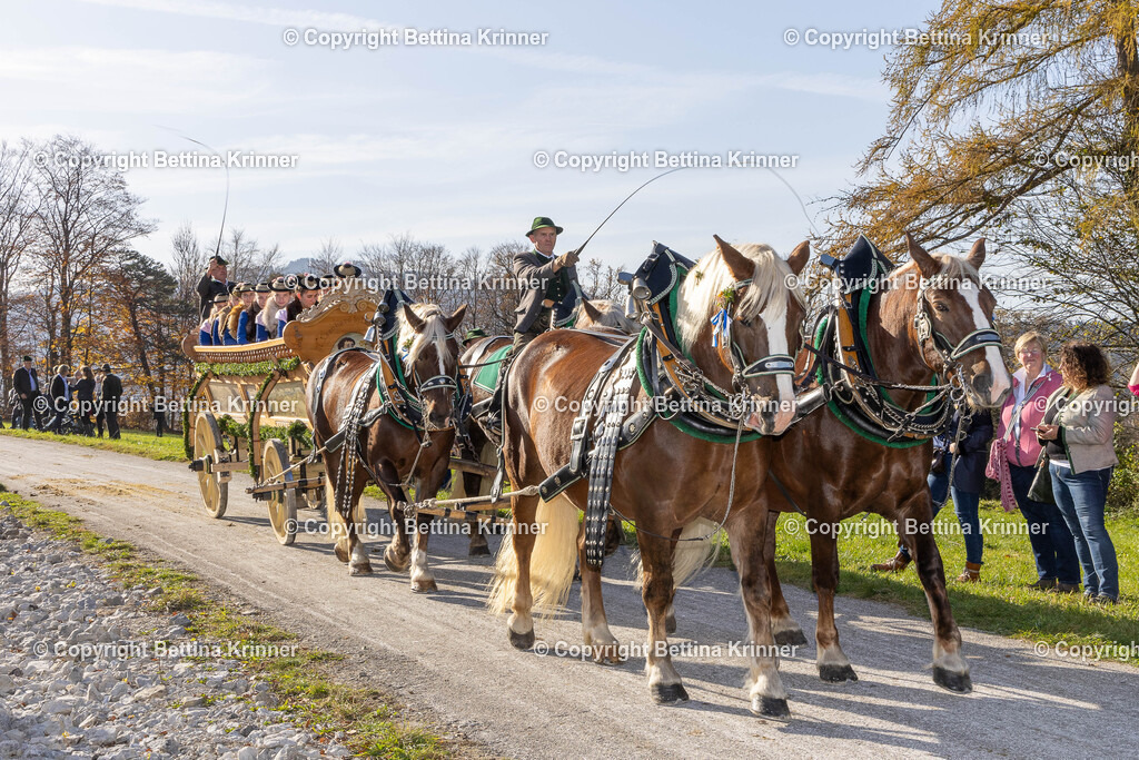 LBT24-1574 | foto-bettina-krinner - Realisiert mit Pictrs.com