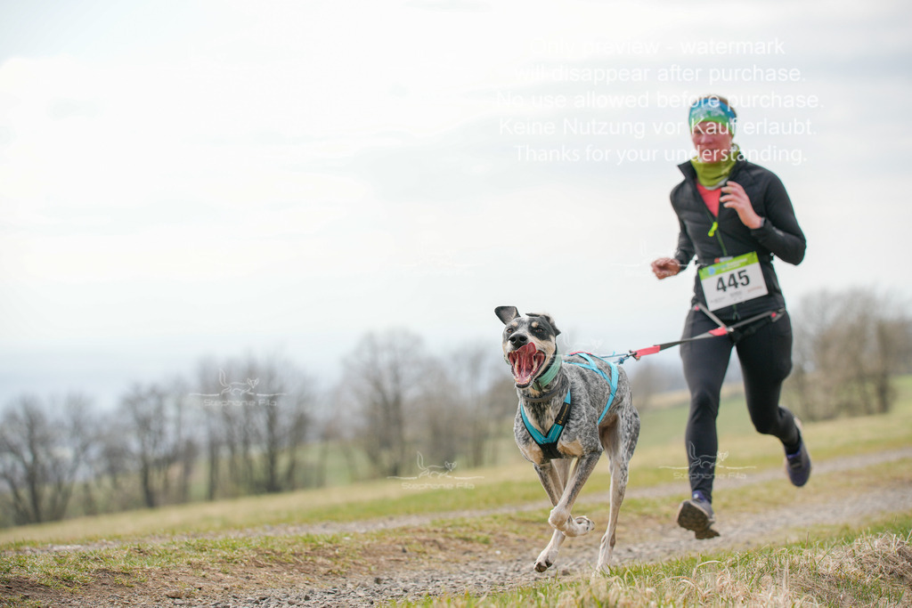 CaniXRunSA-221 | stephaniefillaphotographie - Realisiert mit Pictrs.com