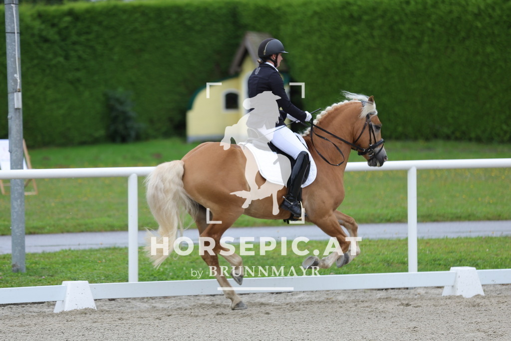 0P6A7785 | Willkommen bei Brunnmayr - Design & Fotografie – Ihrem Spezialisten für Reitturniere und Pferdeveranstaltungen in Oberösterreich, Salzburg und Bayern! Seit über 17 Jahren sind wir leidenschaftlich dabei.