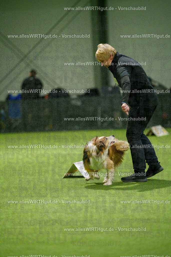 7R504387 | Professionelle Tierfotografie in Mönchengladbach von Daniel Wirth (allesWIRTHgut). Liebevolle & natürliche Bilder von Hunden & Katzen für unvergessliche Erinnerungen.